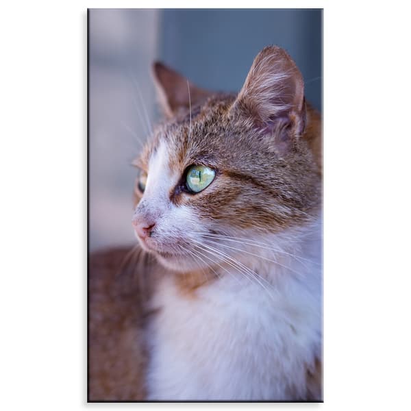Lærredstryk Dyr Ingefærkat 60x100 cm