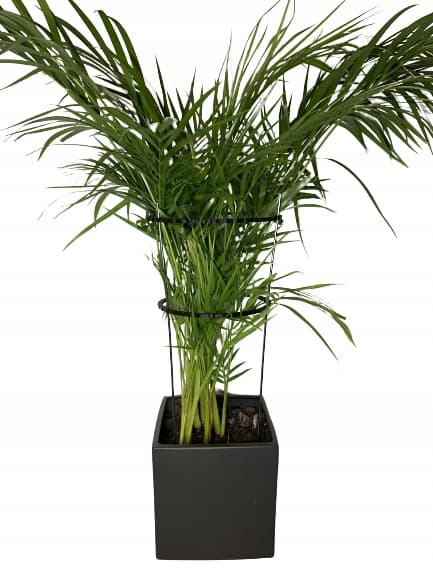 Støttering til blomsterplanter Klemme til støttering L 60x24cm