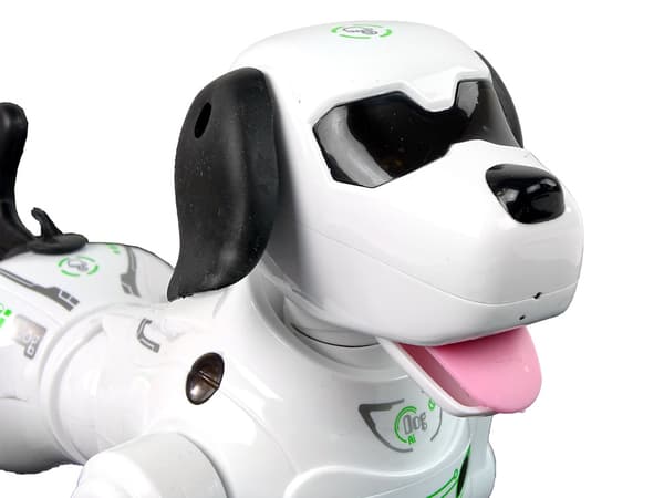 Interaktiv fjernstyret robothund