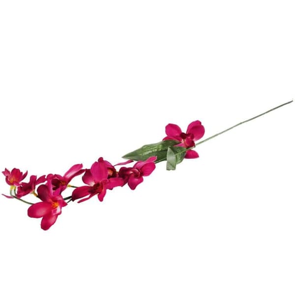 ORKIDEGRÆS BURGUNDY 66 CM