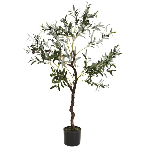 Oliivipuu suuressa ruukussa, 120 cm