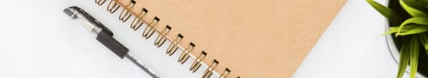 STIFT 28MM 50G GRAND (10) 0029