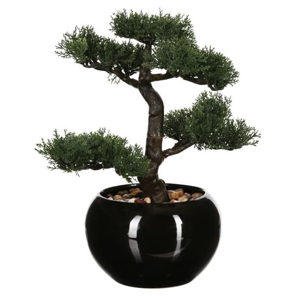 Bonsaitræ i sort potte 36 cm