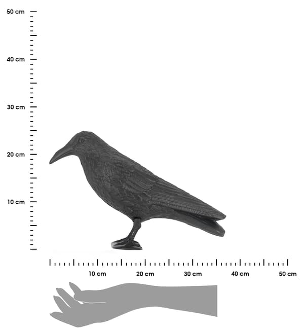 Varislintujen pelotin
