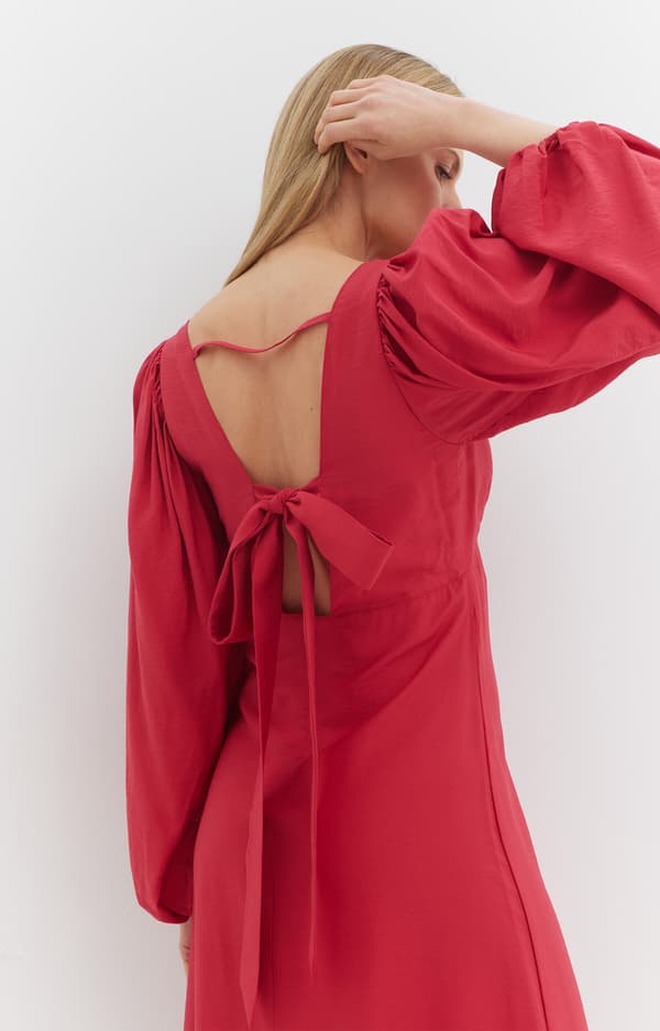 Mekko, jossa on aukko selässä, 36
