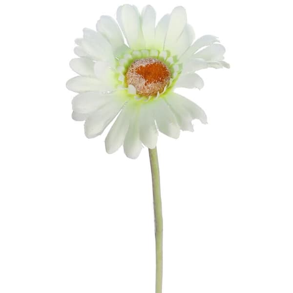 Dekorativ Gerbera naturgetrogen vit och grön 55cm