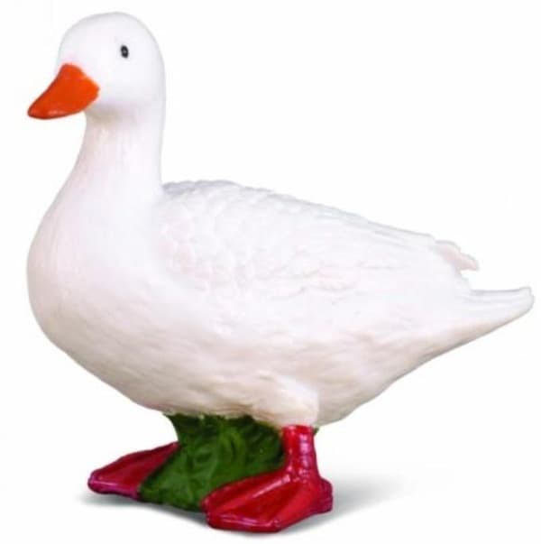 Hvid and