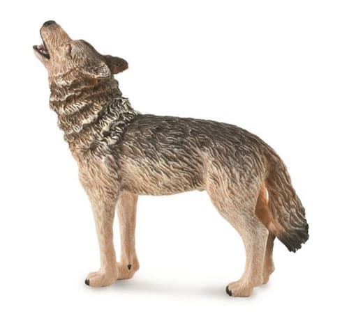 Collecta. Den ylande skogsvargen