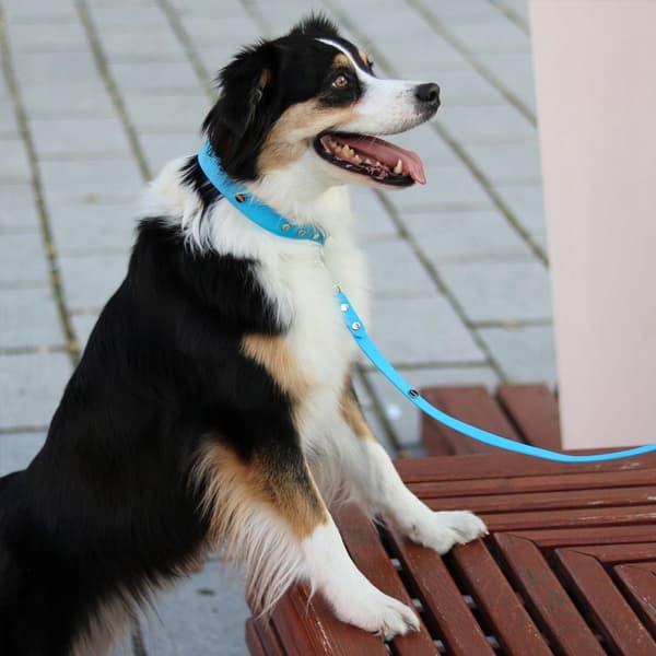 Hexa city hundkoppel, bredd 10 mm, S, 2,2 m/ blå