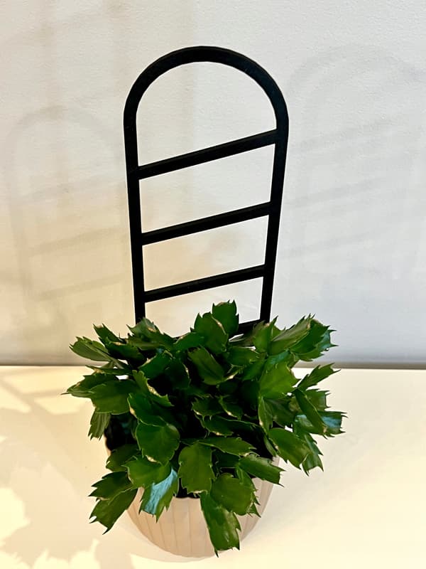 Stöd för klätterväxter Stöd för klätterblommor Pergolastege 38 cm