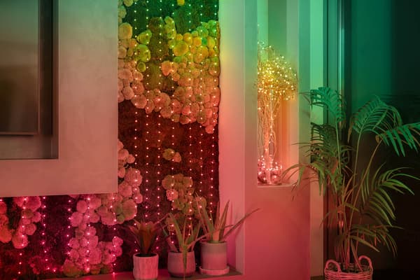 Twinkly Strings USB-C Godisar - 100 RGB LEDs, Pärlor, 6m, Grön Fläta