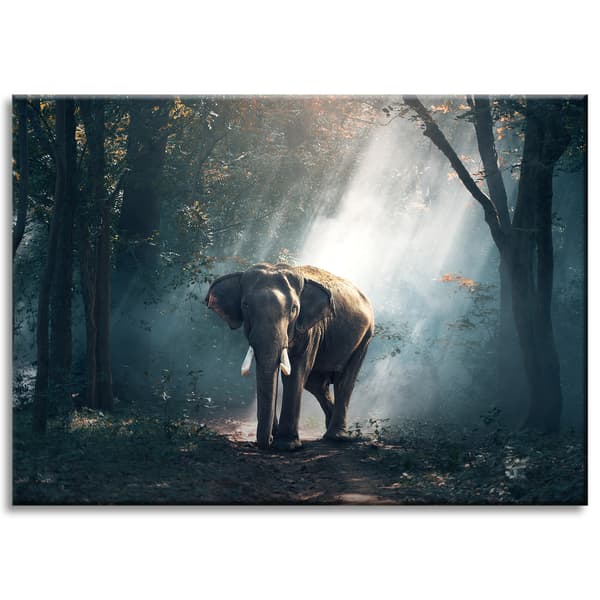 Lærredstryk Dyr Elefant 70x50 cm