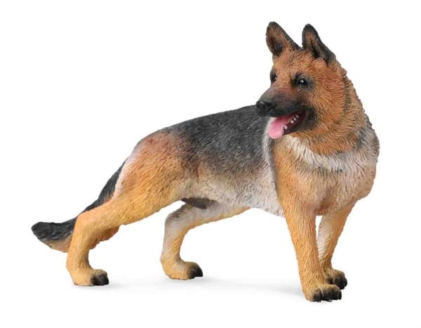 Alsacisk hyrdehund