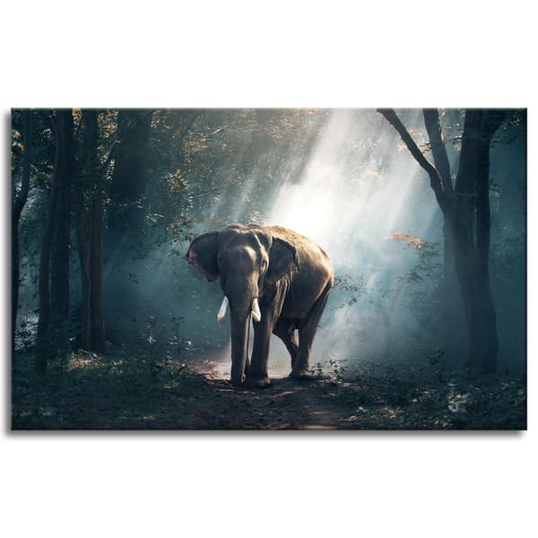 Lærredstryk Dyr Elefant 80x50 cm