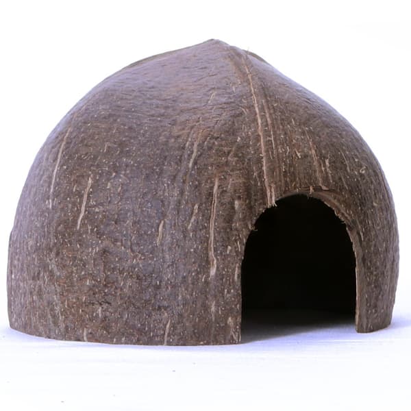 Terrario CocoCave L - glat kokosnødhalvdel