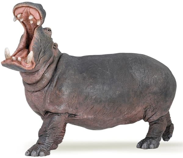 Flodhest