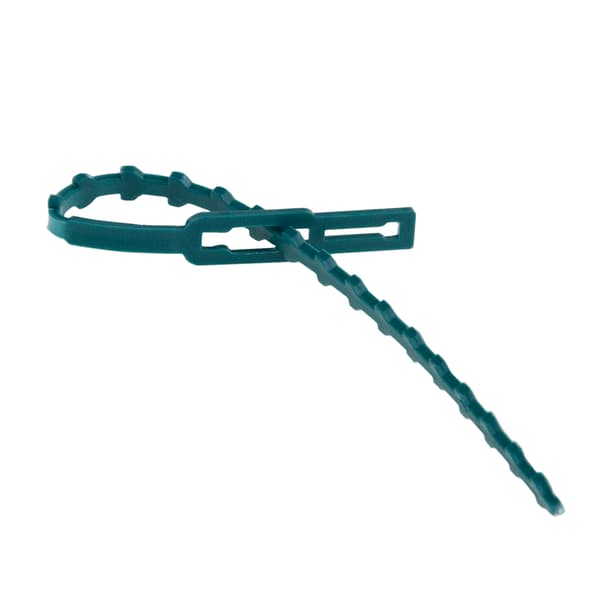 TG77621 VÄXTBAND 50 ST.