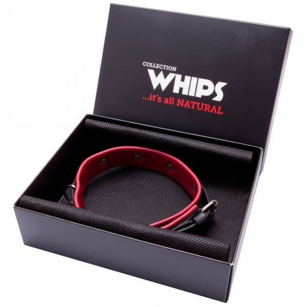 WHIPS bindningar damkrage medium