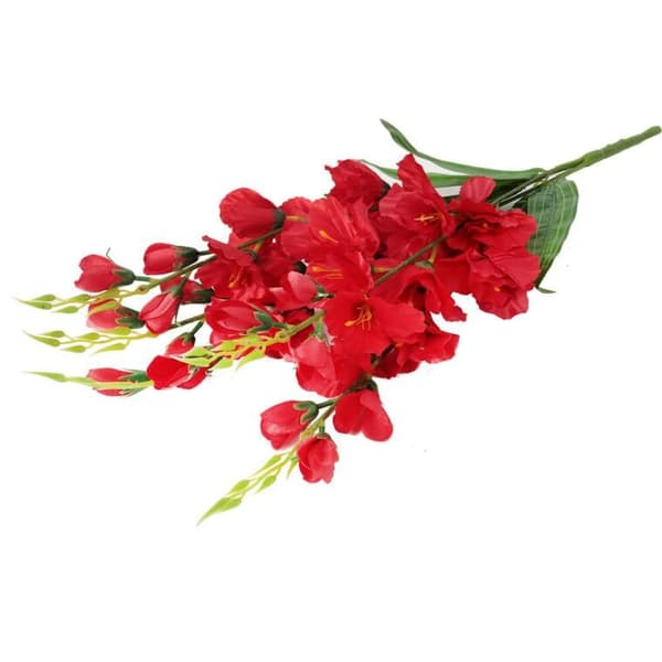 Buket med 5 røde gladioler, 60 cm høje