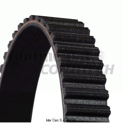 CONTITECH CT 955 kamrem