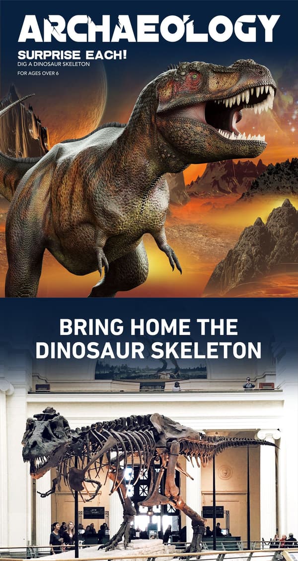 DINOSAURÆG FOSSIL 6 MØNSTRE