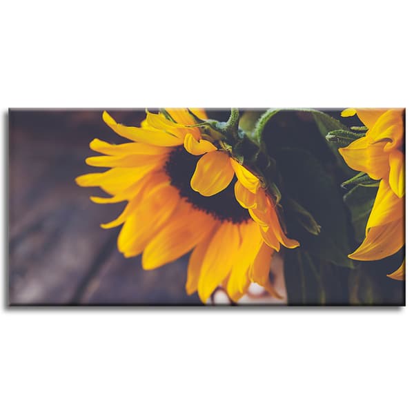 Canvastaulu Botany Auringonkukat 80x40 cm