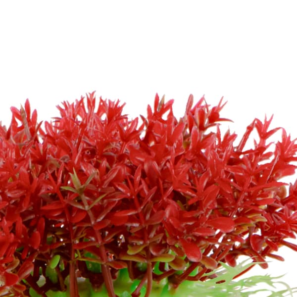 Kruger Meier Plant Mini Flame - tekokasvi
