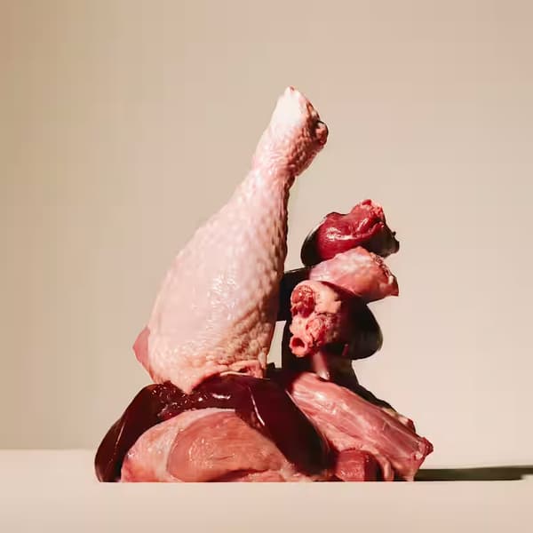 Carnilove vådfoder til hunde kalkun vildtpaté 300 g pose
