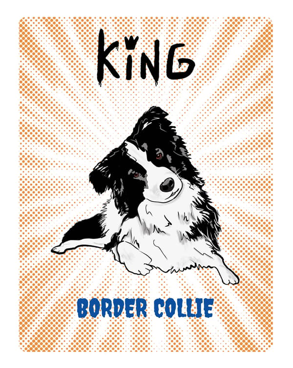 KING BORDER COLLIE TALLERKEN - 20x28 cm
