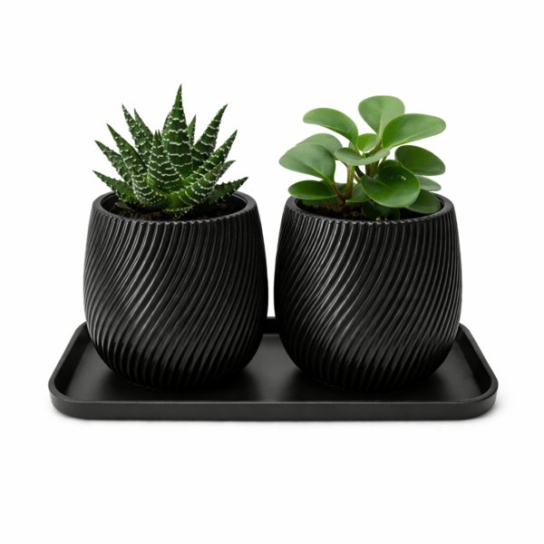 Set med 2 mini-blomkrukor med svart fat