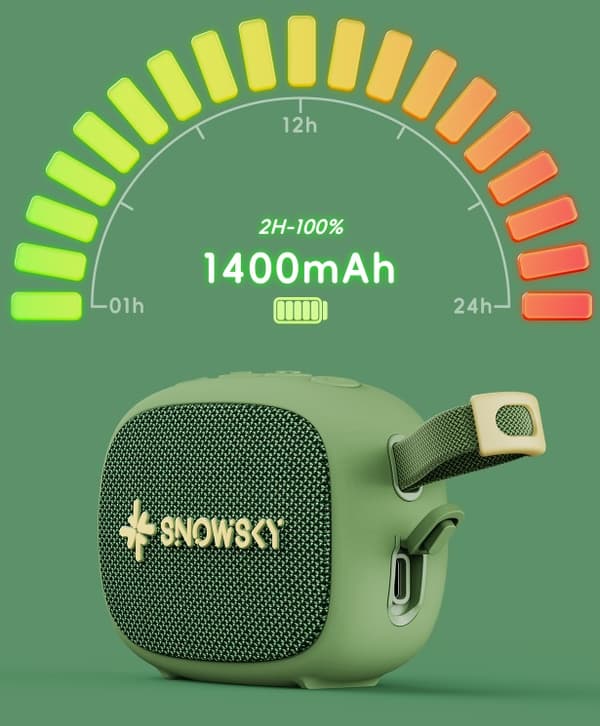 FiiO Snowsky Anywhere - vit - Bärbar Bluetooth-högtalare