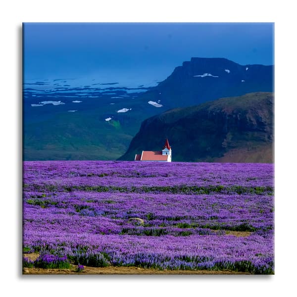 Lærredstryk Natur Lavendelmark 90x90 cm