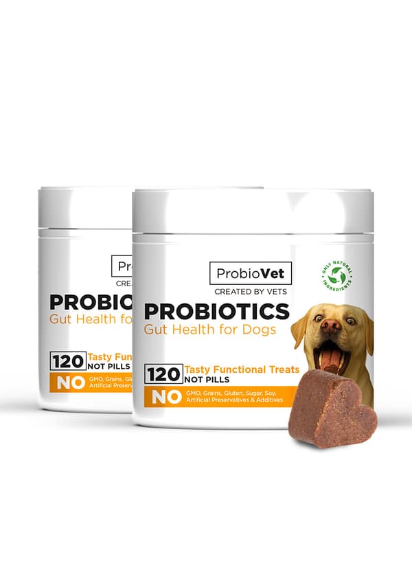 ProbioVet 2 x 120 st.