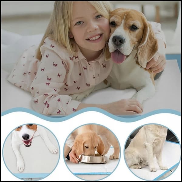 Hygiejnebind til hunde engangsmåtter til hunde 60x60 50 stk. blå
