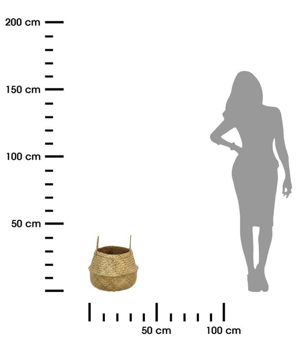 Luonnonmeriheinäkori 40 cm