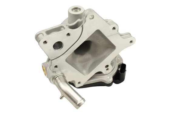 FT60231 SNABB EGR-VENTIL