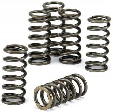 EBC kopplingsfjäderpackning HONDA CBR 600 RR 2003 - 2006