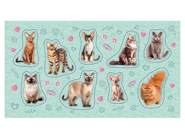 Cat 2.0 -tarrat