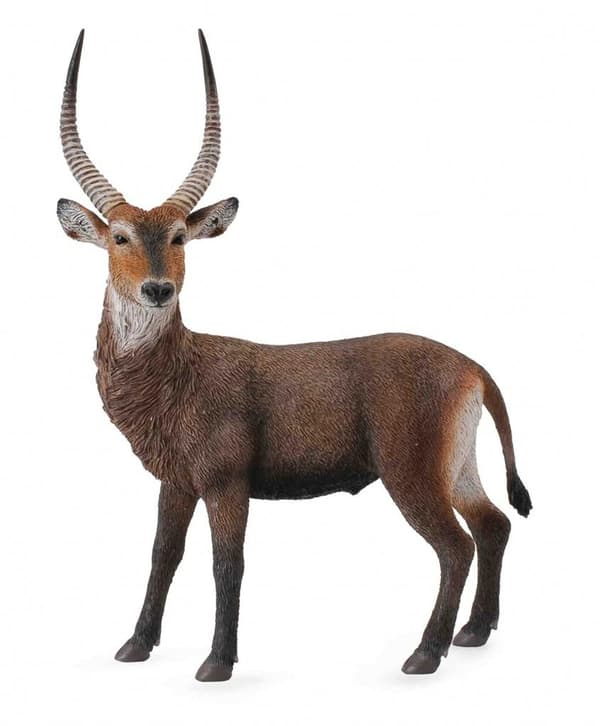Vandbuk antilope
