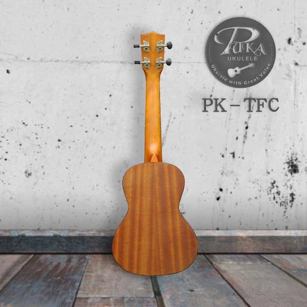 Ukulele PUKA PK-TFC konsertti