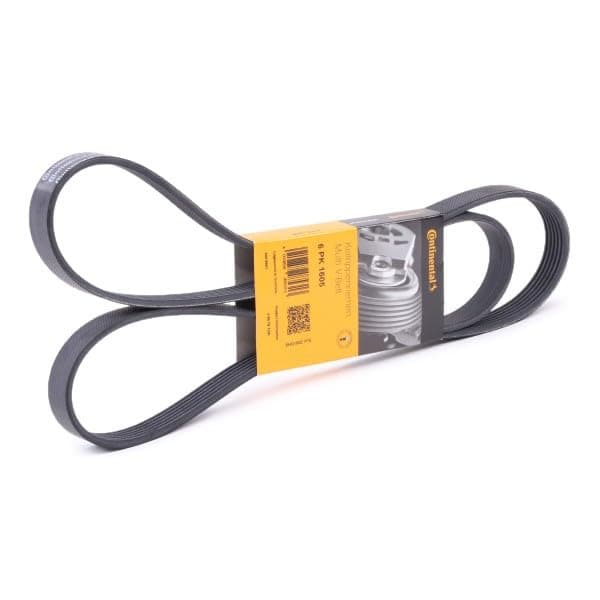 CONTITECH 6 PK 1605 multiribbet rem