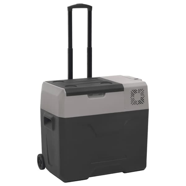 vidaXL Jääkaappi pyörillä virtalähteellä musta ja harmaa 40 l PP