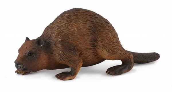 Majava