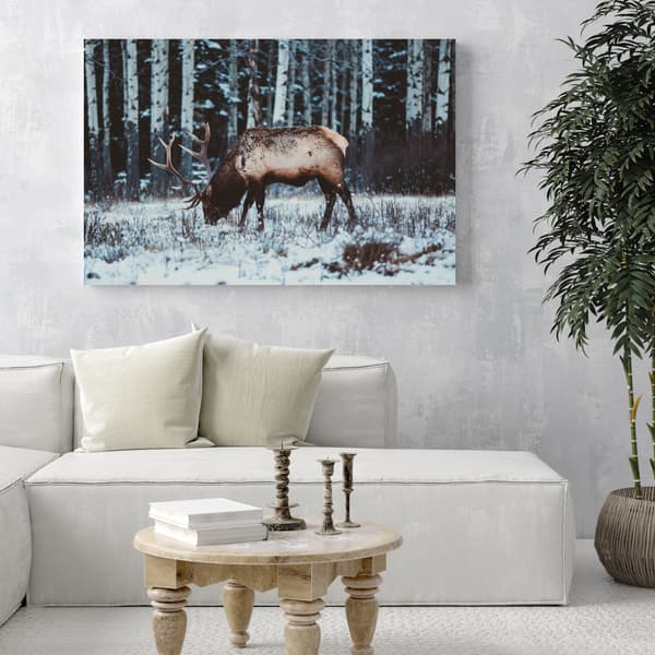 Lærredstryk Dyr Canadisk hjort 40x30