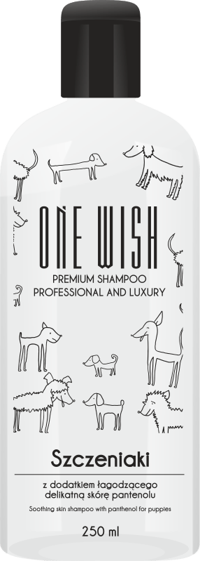 ONE wish -pentushampoo pantenolilla 250ml