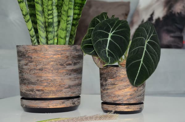 RUSTEN BARK POTTE DIAMETER 18 CM RUSTEN BARK