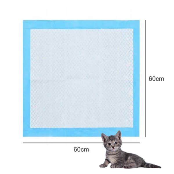 Todo terveyssiteet 60x60cm 40 kpl