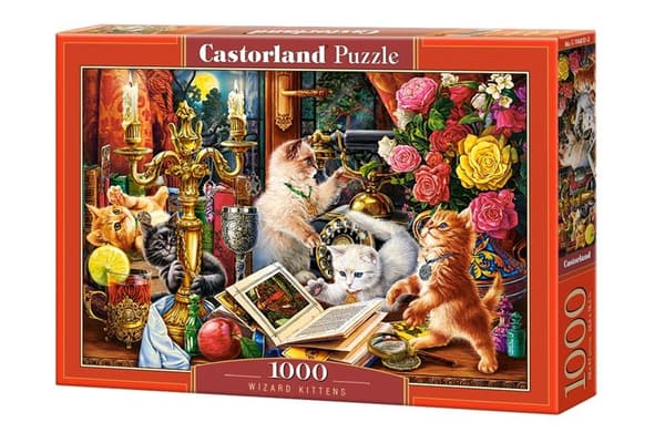 Puslespil 1000 Troldmandskillinger CASTOR