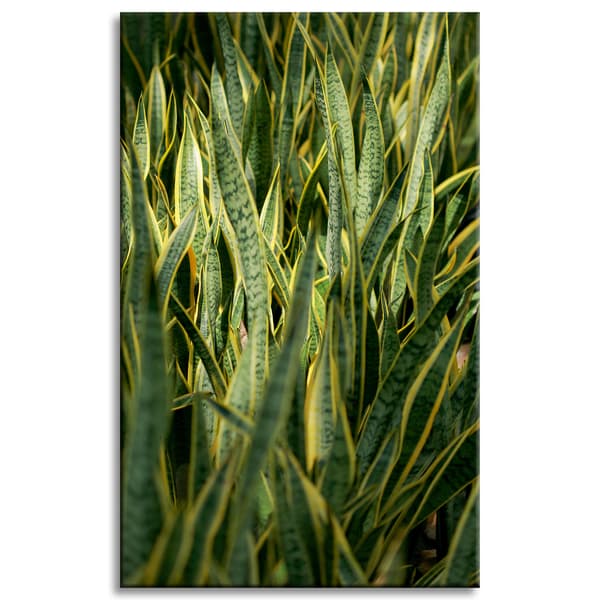 Lærredstryk Botanik Grønt Græs 50x80 cm
