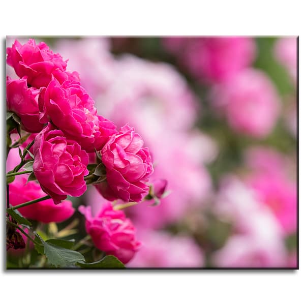 Canvastavla Botaniska rosa rosor 50x40 cm